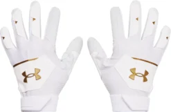 Under Armour Adult Clean Up 21 Batting Gloves